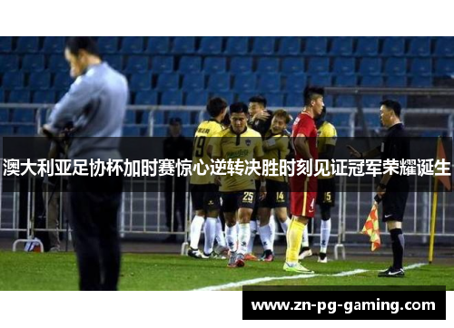 澳大利亚足协杯加时赛惊心逆转决胜时刻见证冠军荣耀诞生