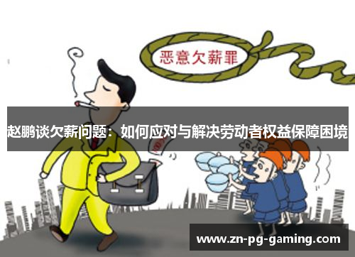 赵鹏谈欠薪问题:如何应对与解决劳动者权益保障困境