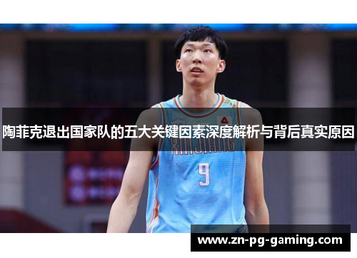 陶菲克退出国家队的五大关键因素深度解析与背后真实原因